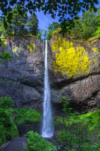 Latourell Falls-3951.jpg
